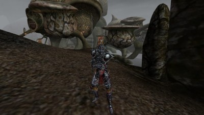 Моды для The Elder Scrolls III: Morrowind добавляют 109 новых магических эффектов и второе оружие