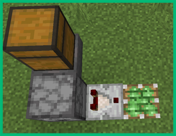 5 механизмов, упрощающих выживание