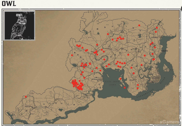 Red dead redemption 2 - животные. Карты с местами обитания Red dead redemption 2 - животные. Карты с местами обитания