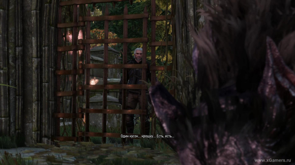 Квест "В волчьей шкуре" в игре Ведьмак 3: как снять проклятие с Моркварга?