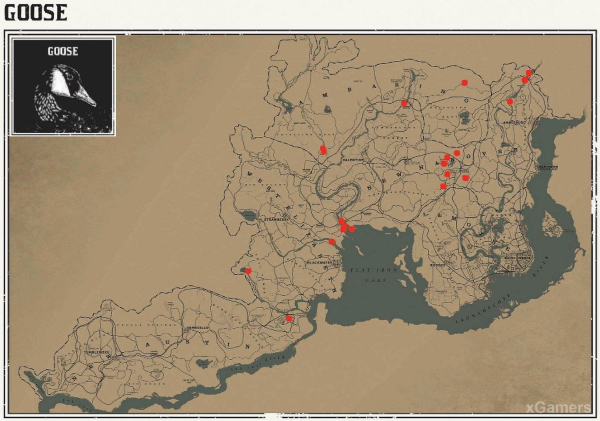 Red dead redemption 2 - животные. Карты с местами обитания Red dead redemption 2 - животные. Карты с местами обитания