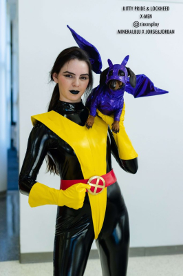 Лучший косплей с Fandemic 2019 года в Хьюстоне