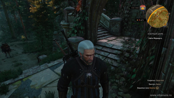 Квест "В волчьей шкуре" в игре Ведьмак 3: как снять проклятие с Моркварга?