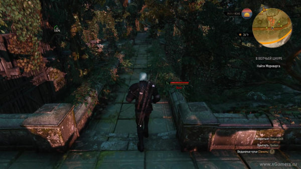 Квест "В волчьей шкуре" в игре Ведьмак 3: как снять проклятие с Моркварга?