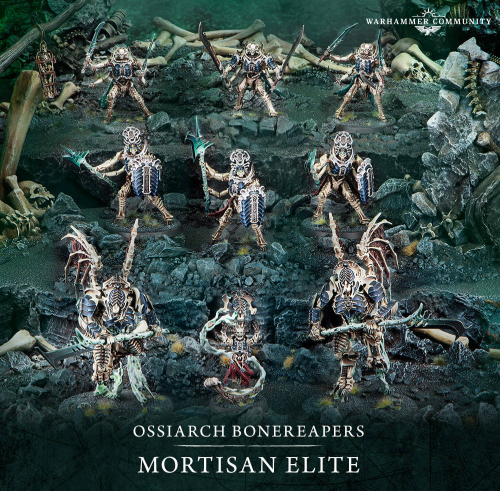 Для режима Spearhead в настольной игре Warhammer Age of Sigmar выпустят новые наборы