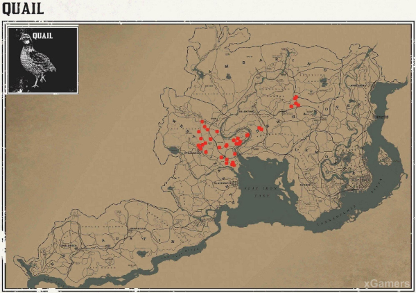 Red dead redemption 2 - животные. Карты с местами обитания Red dead redemption 2 - животные. Карты с местами обитания