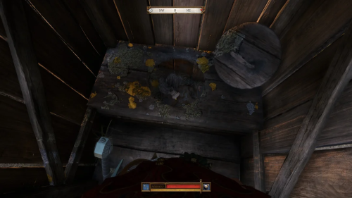 Фанат Kingdom Come: Deliverance 2 «погрузился» в туалет и обнаружил на дне сюрприз в стиле The Last of Us от разработчиков