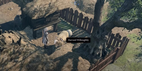 Игроки Baldur's Gate 3 только сейчас узнают про секретного барана, умеющего колдовать