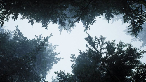 Критическая проблема поставила будущее российского хоррор-шутера Pine Harbor под угрозу — разработка остановлена