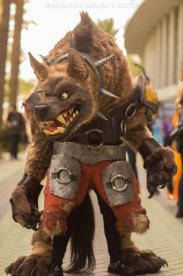 Лучшие косплеи с BlizzCon 2017 Лучшие косплеи с BlizzCon 2017