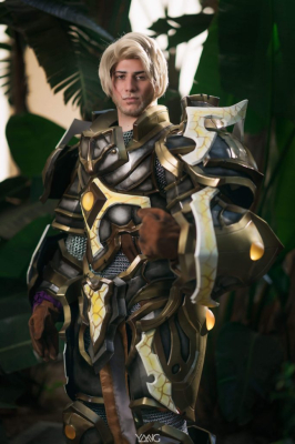 Лучшие косплеи с BlizzCon 2017 Лучшие косплеи с BlizzCon 2017