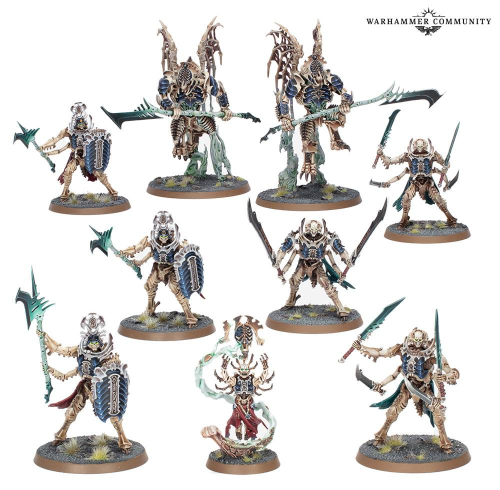 Авторы Warhammer Age of Sigmar готовы открыть предзаказ на руководство генералов 2025-2026 и новые наборы миниатюр