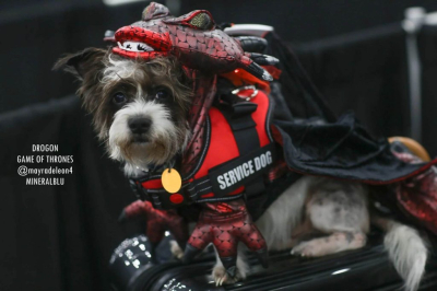 Лучший косплей с Comicpalooza 2019 Лучший косплей с Comicpalooza 2019