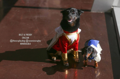 Лучший косплей Fan Expo Dallas 2019 Лучший косплей Fan Expo Dallas 2019