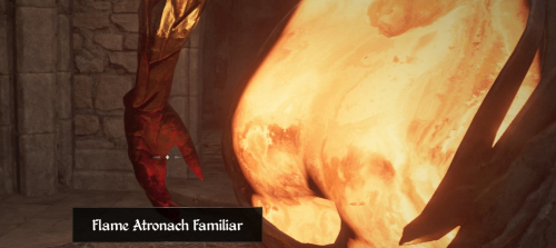 Геймеры придумали, как обойти запрет постить на сабреддите Oblivion скриншоты сексуальных огненных атронахов