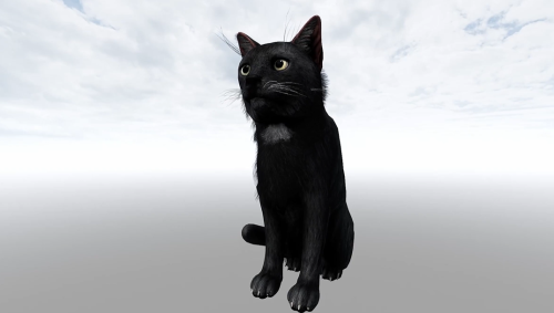 В финском шутере-выживании Road to Vostok появится рыбалка, лодки и анимированный котик