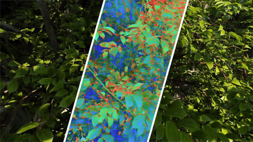 Intel представила ИИ-метрику CGVQM для оценки качества графики в играх Intel представила ИИ-метрику CGVQM для оценки качества графики в играх