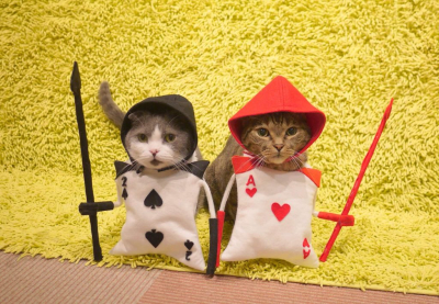 Кошачий косплей очень даже хорош Кошачий косплей очень даже хорош