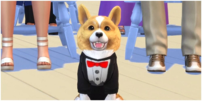 10 лучших животных-компаньонов в играх