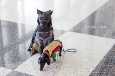 Наши любимые косплеи с Fandemic Houston 2018 Наши любимые косплеи с Fandemic Houston 2018