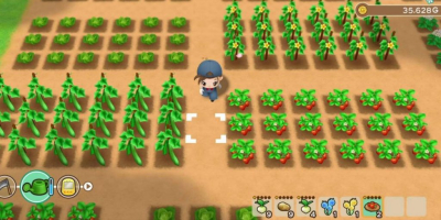 Лучшие видеоигры из серии Harvest Moon