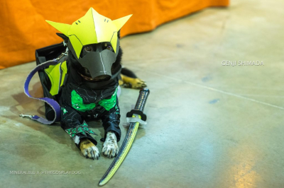 Наши любимые косплеи с Fandemic Houston 2018 Наши любимые косплеи с Fandemic Houston 2018