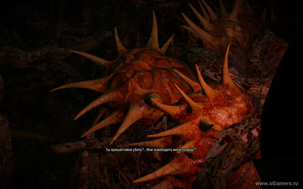 Квест "Шепчущий холм" в игре Ведьмак 3 - варианты прохождения и правильное решение