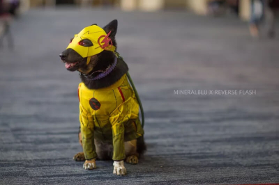 Лучший косплей с Fan Expo Dallas 2018 Лучший косплей с Fan Expo Dallas 2018