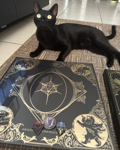 Larian бесплатно заменила расплавленную виниловую пластинку фаната Baldur's Gate 3