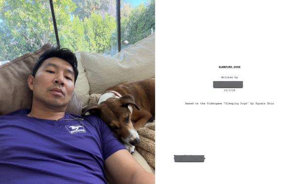 
                Работа над экранизацией Sleeping Dogs все еще кипит. Авторы подготовили черновой вариант сценария
            