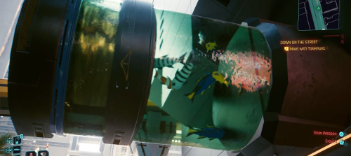 Фанат Cyberpunk 2077 провел в игре сотни часов, но только сейчас обнаружил огромный аквариум с рыбами над дорогой