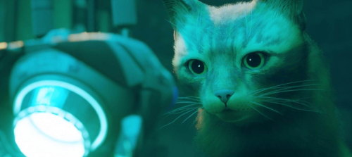 В ноябрьскую подборку PS Plus войдут Stray, EA Sports WRC 24 и Totally Accurate Battle Simulator