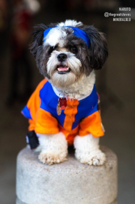 Лучший косплей с Anime Expo 2019