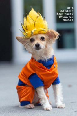 Лучший косплей с Anime Expo 2019