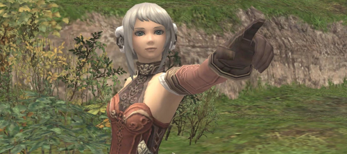 Впервые за 12 лет Final Fantasy 11 может получить дополнение с новыми локациями