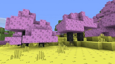 Лучшие текстур паки для Minecraft