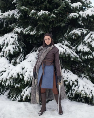 В Винтерфелле всегда должны быть два Старка!