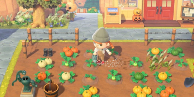 Лучшие игры с сельской эстетикой