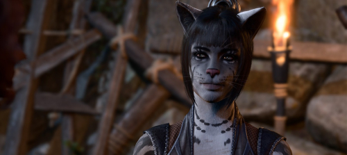 Геймер превратил Шэдоухарт в кошку после анимации Larian и сообщество в восторге