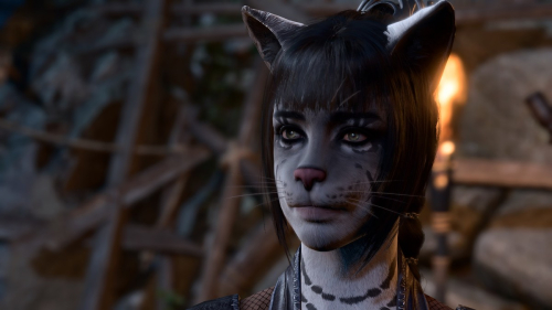 Геймер превратил Шэдоухарт в кошку после анимации Larian и сообщество в восторге