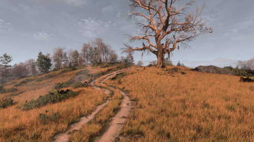 Мод для The Witcher 3 делает траву гораздо красивее во всех регионах &ndash; без серьезного падения частоты кадров