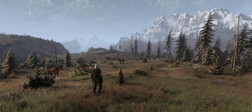 Мод для The Witcher 3 делает траву гораздо красивее во всех регионах &ndash; без серьезного падения частоты кадров