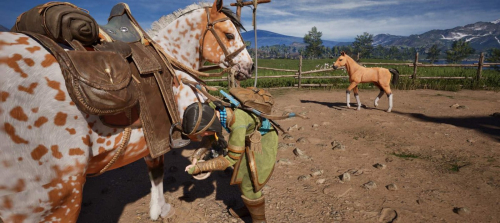 В геймплее The Legend of Khiimori показали ключевые особенности &ndash; это Death Stranding про средневековую Монголию и лошадей