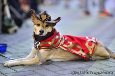 Лучший косплей Blizzcon 2016