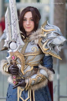 Лучший косплей Blizzcon 2016