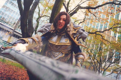 Лучший косплей Blizzcon 2016