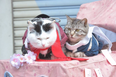 Отличный косплей в эти выходные в Осаке