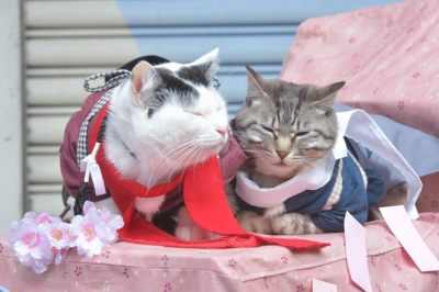 Отличный косплей в эти выходные в Осаке