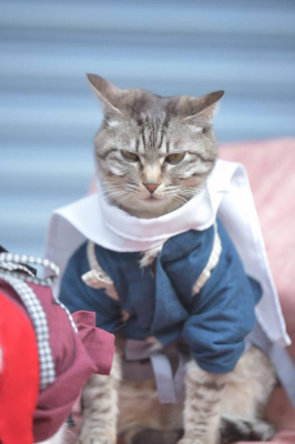 Отличный косплей в эти выходные в Осаке