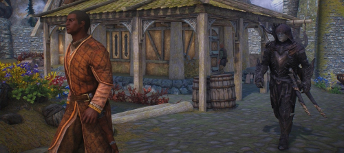 Игрок нашёл в модифицированном Skyrim булаву, которая лечит цель при ударе &ndash; ему тут же предложили испробовать её на Назиме